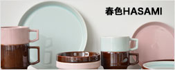 HASAMI