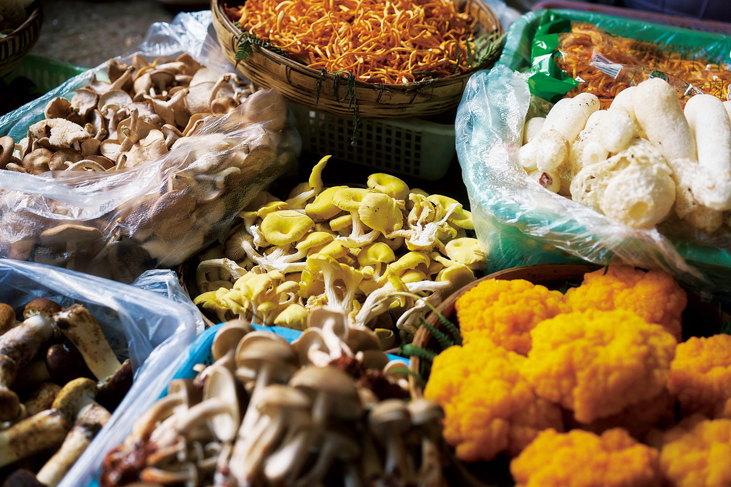 �y�[�p�[�X�J�C