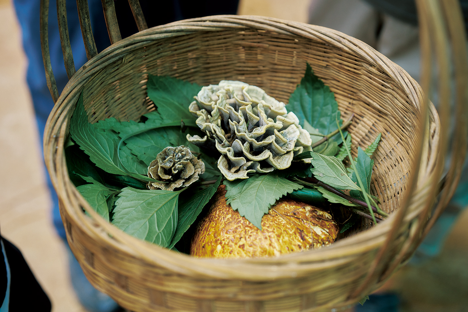 �y�[�p�[�X�J�C