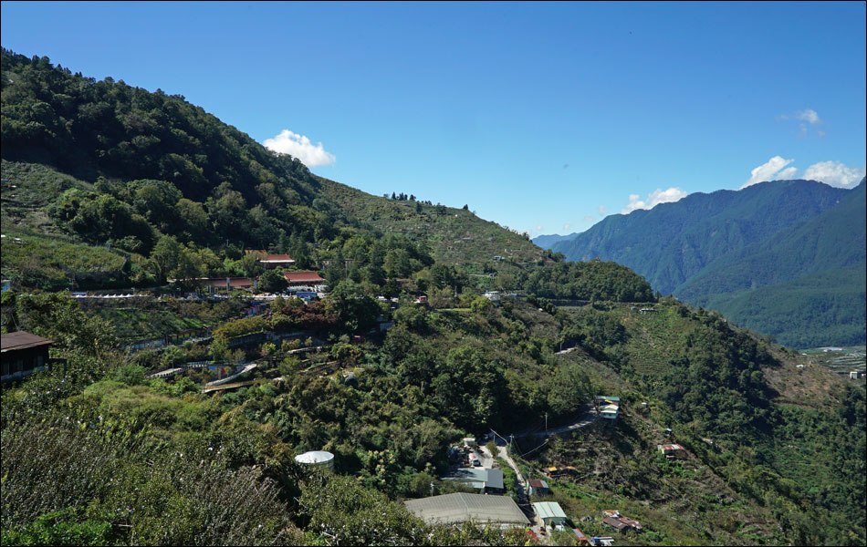 p闷
