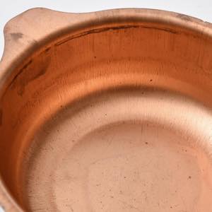 �����@�ɔJ�ȁ@��������20cm