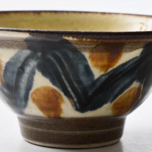 �����ݗq�@���܍H�[�@4.5���}�J�C�@���ځ@���{�ƈ�