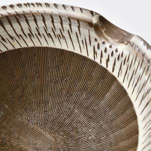 �����c�ā@��{�_��q�@�������蔫�@�����@��