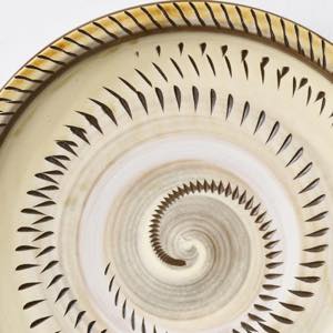 �����c�ā@��{�_��q�@�����M�i��������j�@���������@��