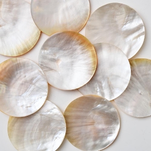 �t�B���s���@�L�g���[�i�M�j