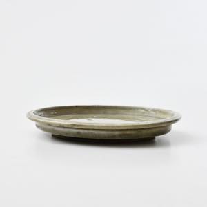 �����@�����ȃV���E�B�q�@�D��5.5���M