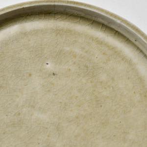 �����@�����ȃV���E�B�q�@�D��5.5���M