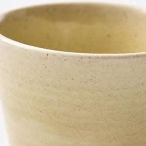 ���˖{�Ɨq�@�����ˁ@��������