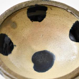 �ǒJ�R�āE�k�q�@�{�鐳���@�A�C�X�N���[�����@���@�_��