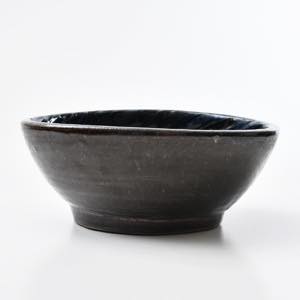 �ǒJ�R�āE�k�q�@�{�鐳���@�W���[���@���{