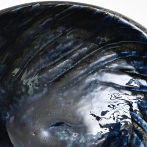 �ǒJ�R�āE�k�q�@�{�鐳���@�W���[���@���{