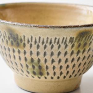 �ǒJ�R�āE�k�q�@�{�鐳���@3.5���}�J�C�@�����ɗ�