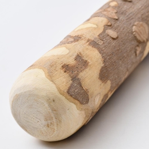 �R���̖؂̂��肱���_�@40cm